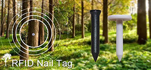 RFID nails